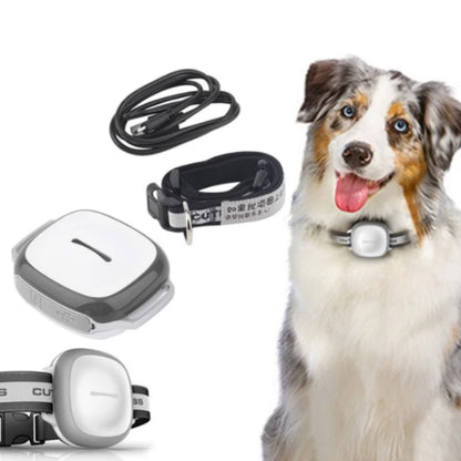 Collared Dog Tracker Pet Locator Pet