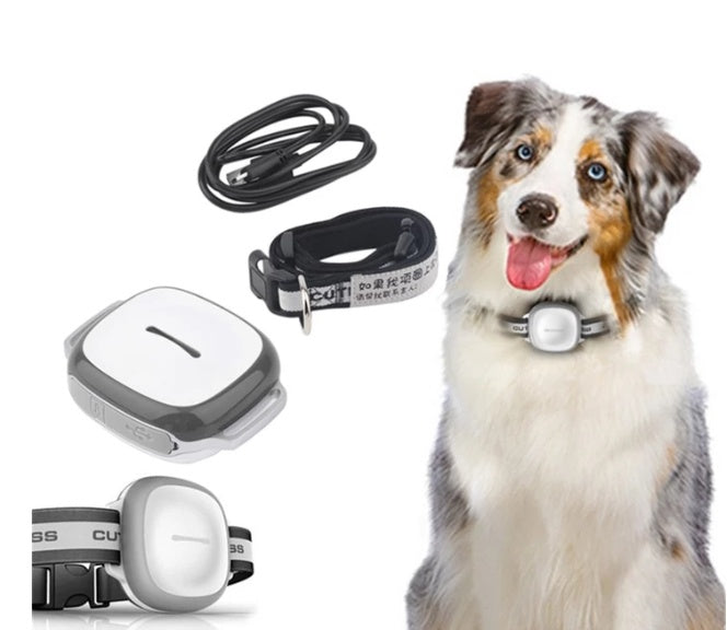 Collared Dog Tracker Pet Locator Pet