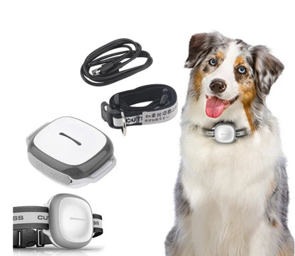 Collared Dog Tracker Pet Locator Pet