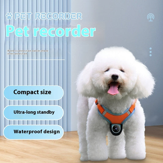 Pets Recorder Pet Tracker Collar Dogs And Cats Viewing Angle Motion Recording Camera